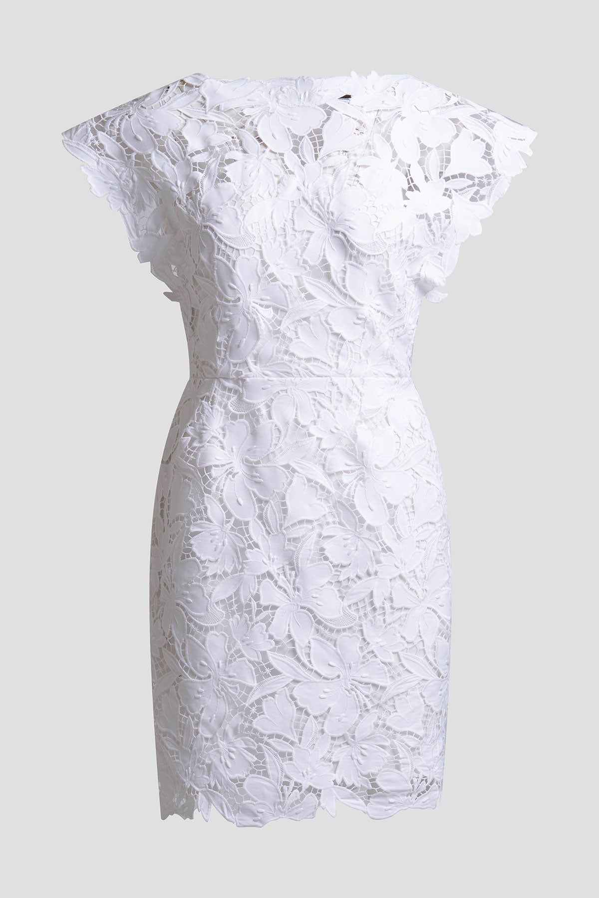 Peony Floral Lace Mini Dress White Natori