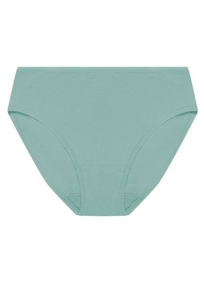 Bliss Bare Cotton Hipster Succulent Natori