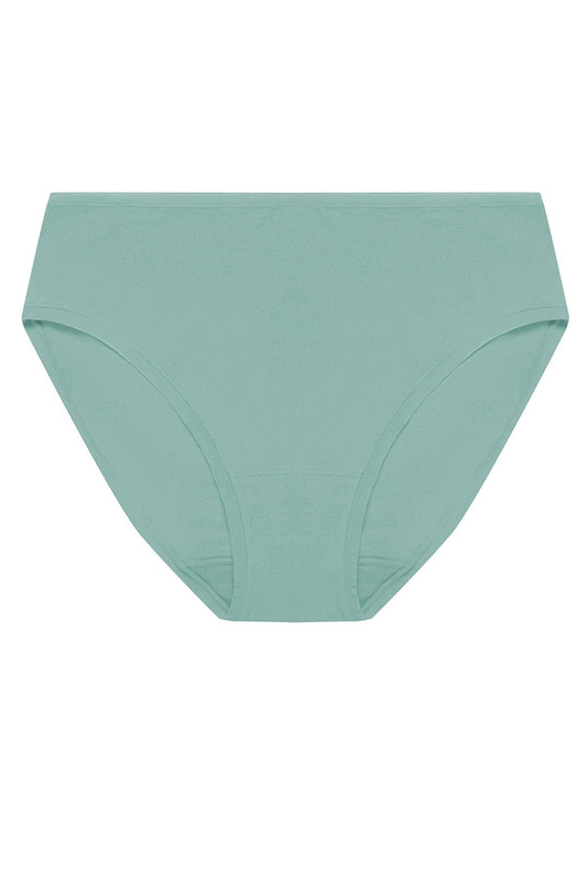 Bliss Bare Cotton Hipster Succulent Natori