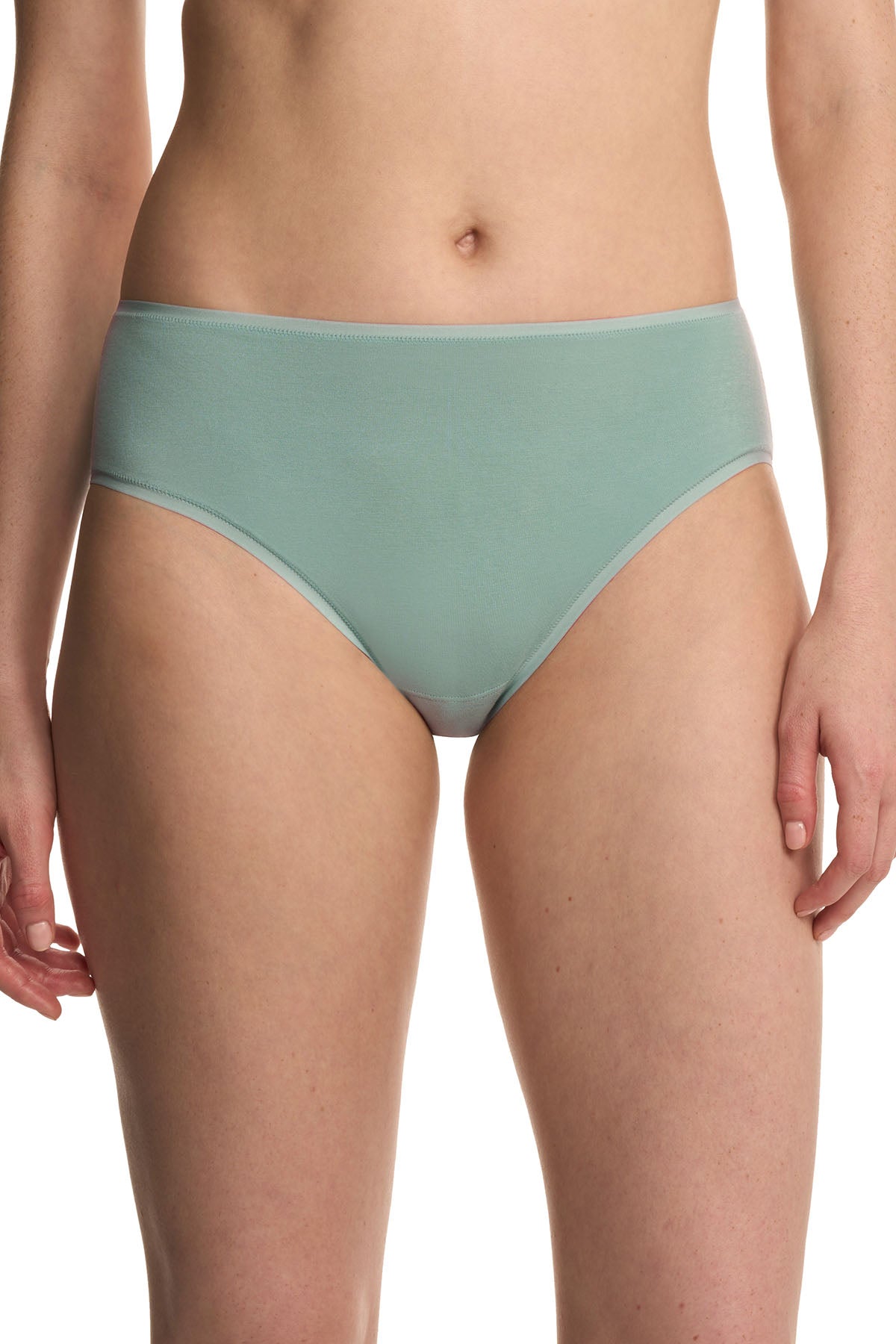 Bliss Bare Cotton Hipster Succulent Natori